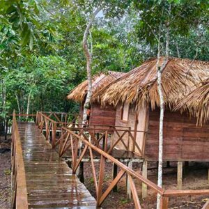 Coruja Amazon Package – 3 Nights from Manaus