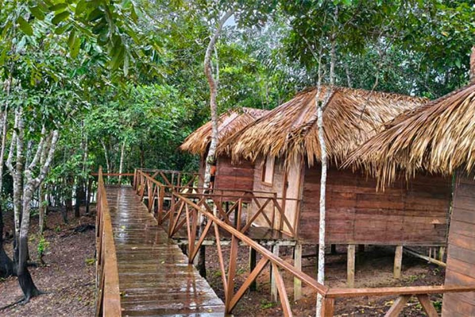 amazon-adventure-lodge